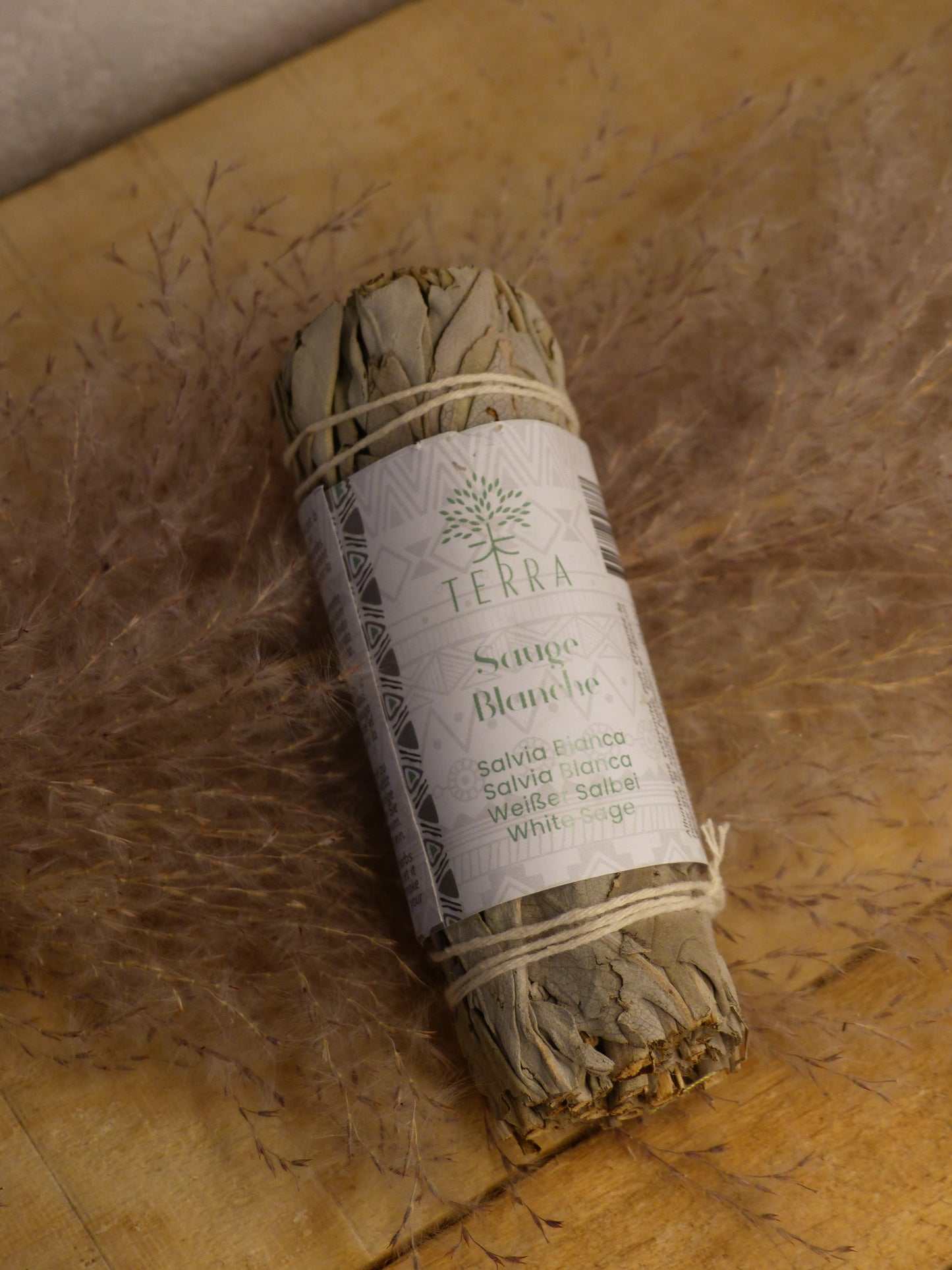 Fagot Sauge Blanche Californie – 25-30g – 10 cm