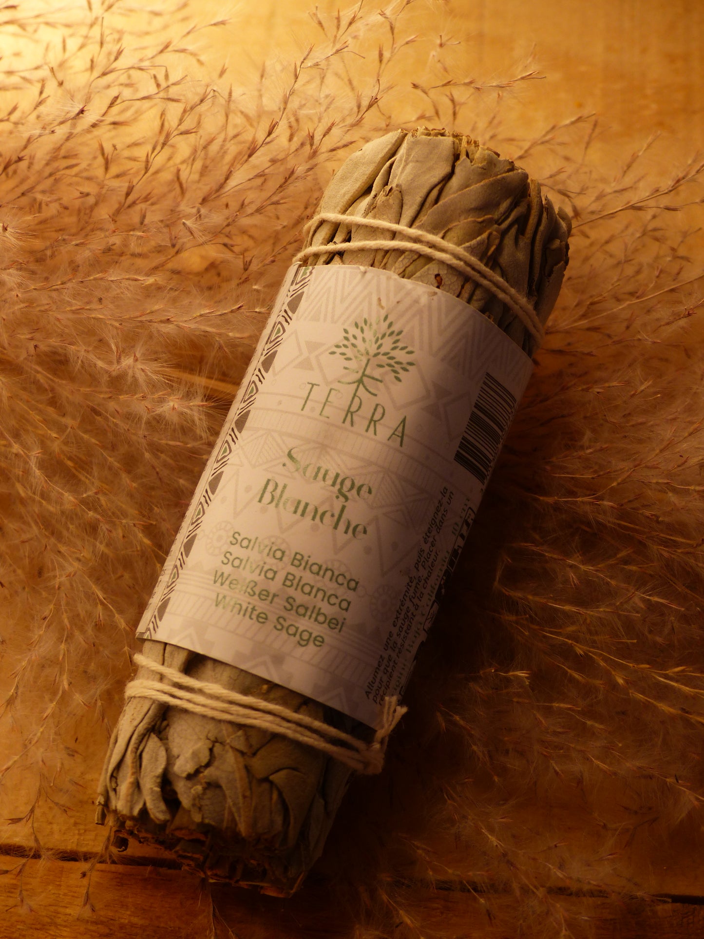 Fagot Sauge Blanche Californie – 25-30g – 10 cm