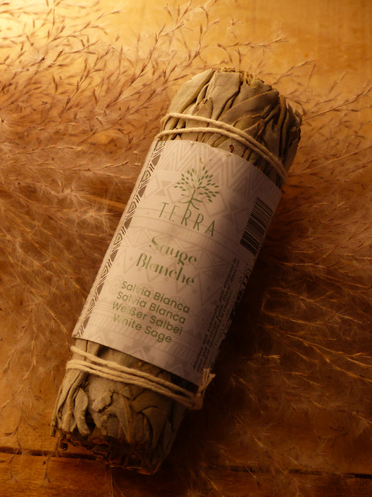 Fagot Sauge Blanche Californie – 25-30g – 10 cm