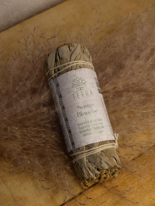 Fagot Sauge Blanche Californie – 25-30g – 10 cm